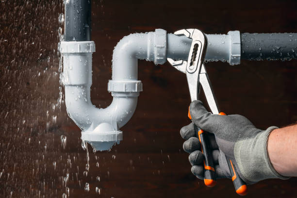 Professional Plumbing technician working in Leicester, NC
